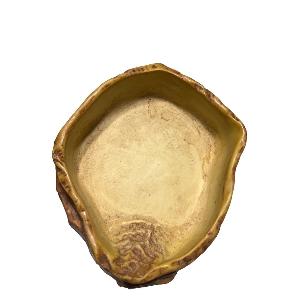Exo Terra Water Dish Water Bowl for Reptiles X-Large